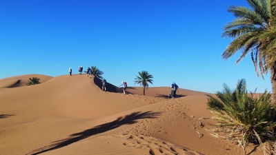 Sahara Trek 2027